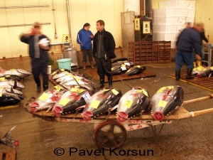 Туши тунца на тележке и работники рыбного рынка
